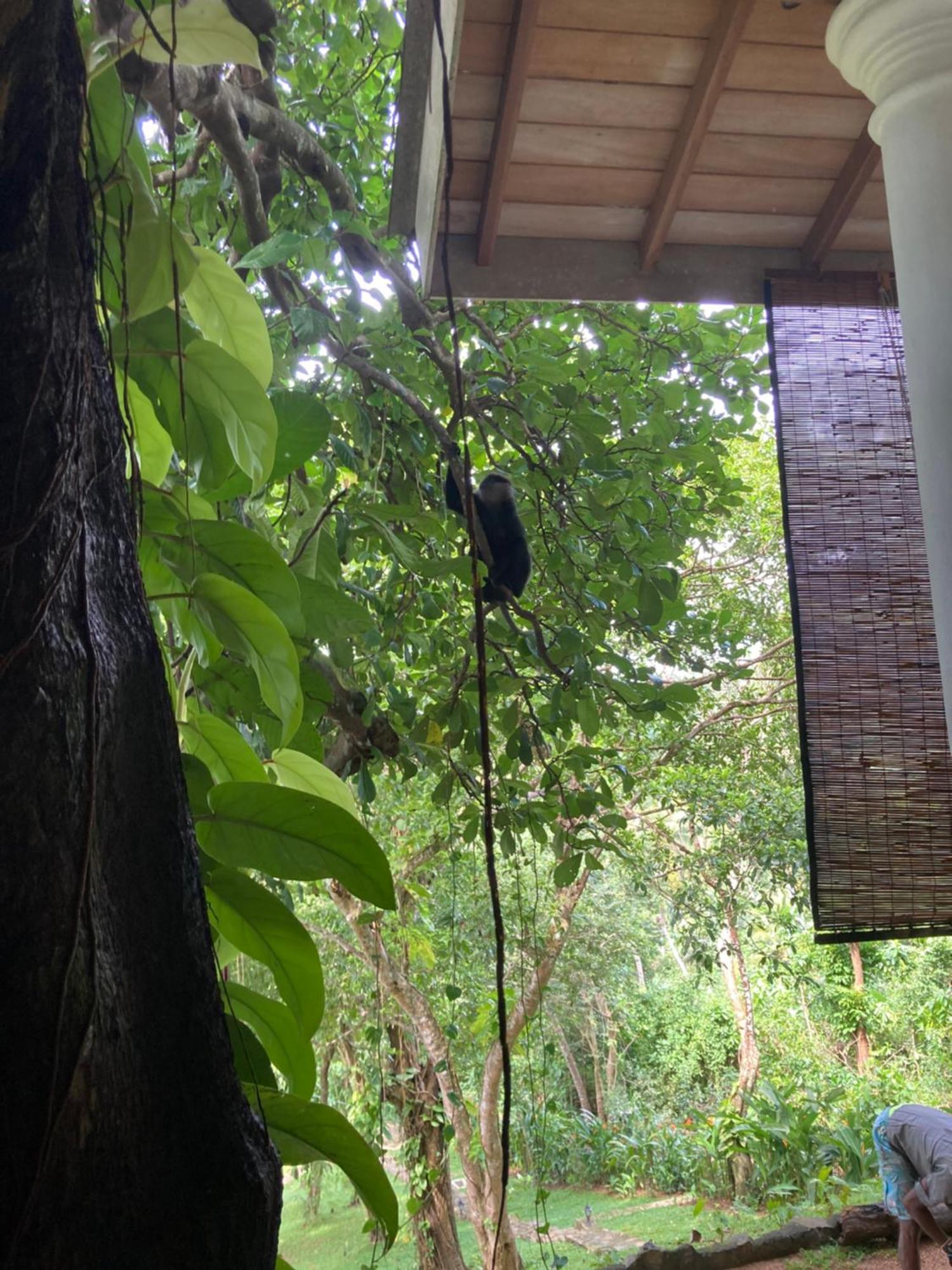 Wija House - Unawatuna Exterior foto
