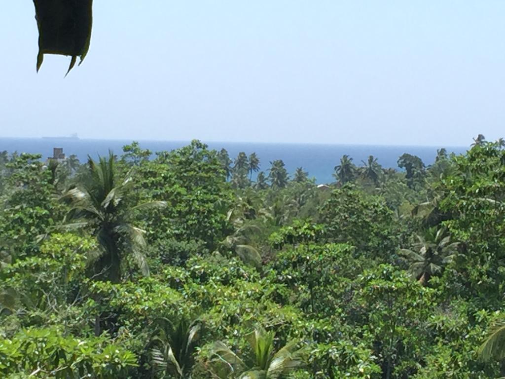 Wija House - Unawatuna Habitación foto